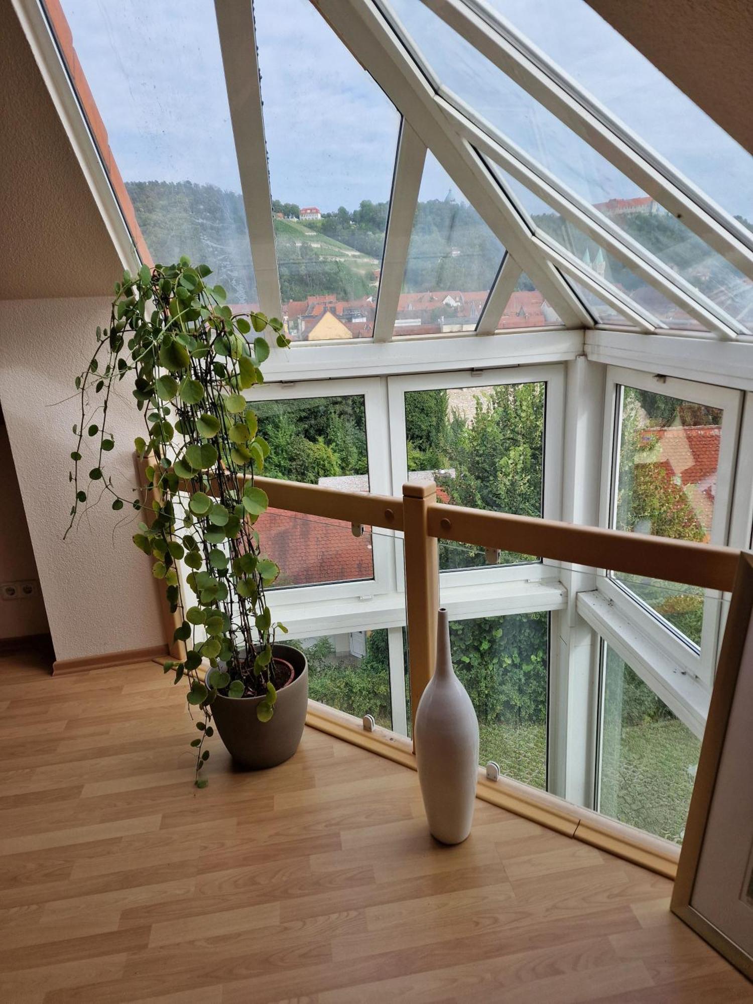 Villa Kayser Фрайбург Екстериор снимка
